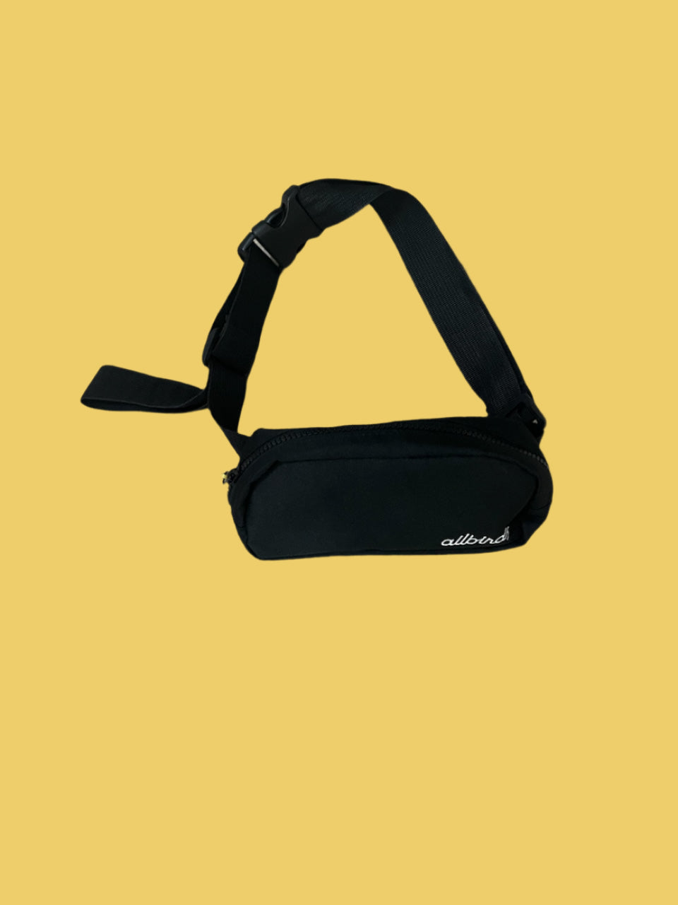 Fanny Pack